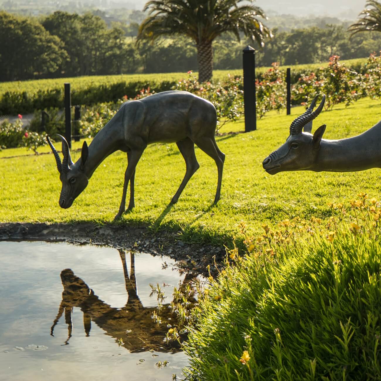 67bc555513346-Leeu Estates - Bokkie Garden Aerial (1)@2x